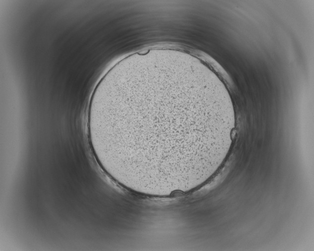 X0000110860860200907161355