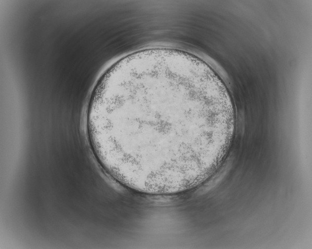X0000110860862200907161355