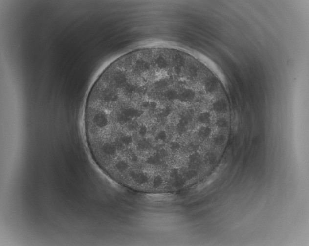 X0000110860863200907161355