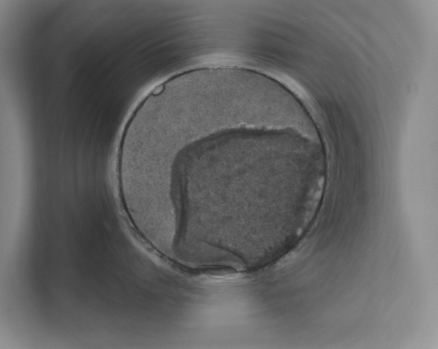X0000110860864200907161355