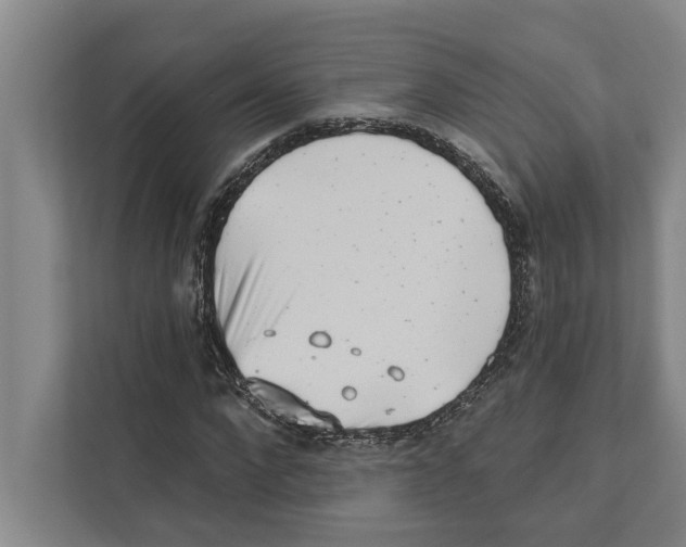 X0000110860872200907161354
