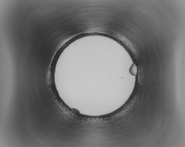 X0000110860876200907161354