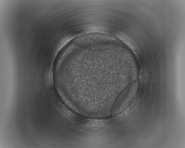 X0000110860877200907161354