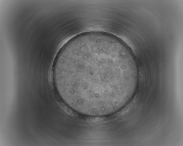X0000110860879200907161354