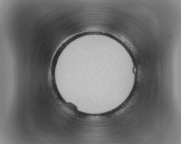 X0000110860880200907161354