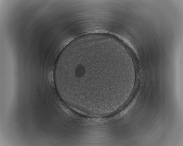 X0000110860881200907161354