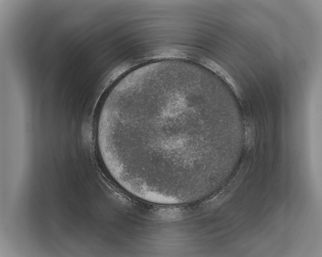 X0000110860882200907161354