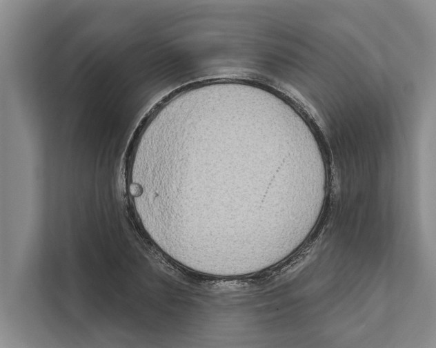 X0000110860883200907161354