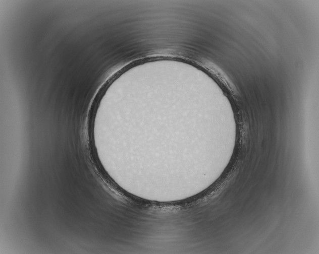X0000110860884200907161354