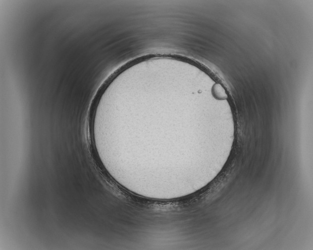 X0000110860887200907161354