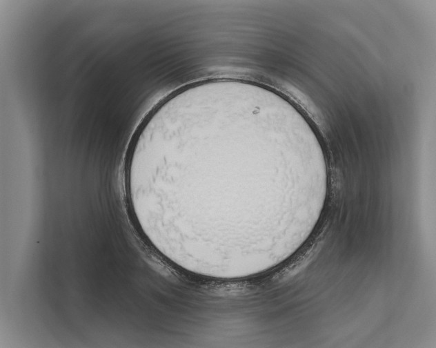 X0000110860891200907161354