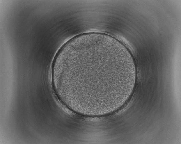 X0000110860892200907161354