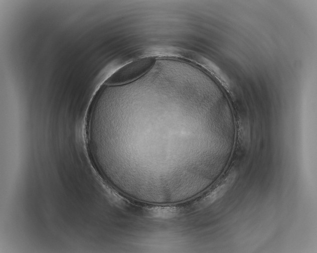 X0000110860893200907161354