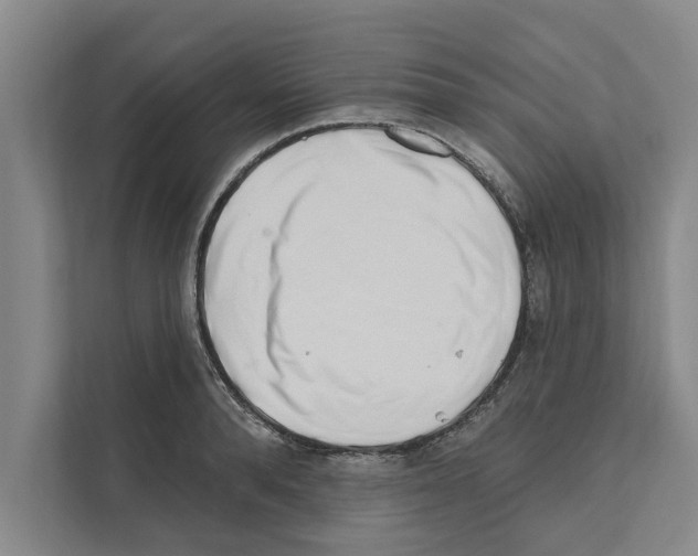 X0000110860896200907161354