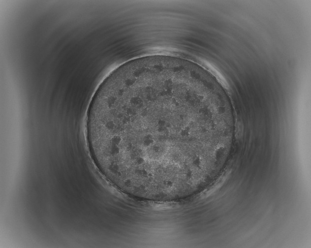 X0000110860899200907161354