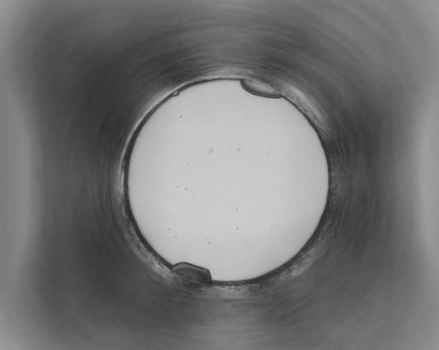 X0000110860900200907161354