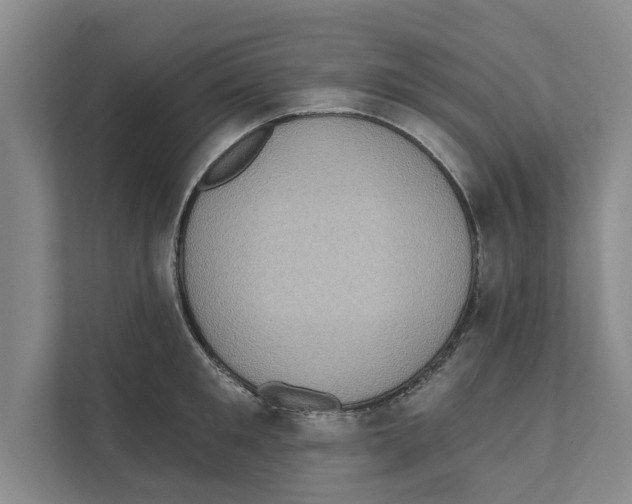 X0000110860901200907161354