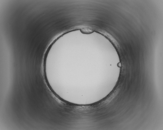 X0000110860902200907161354