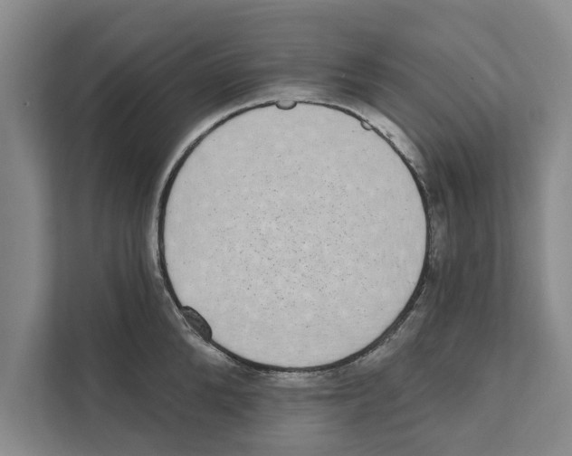 X0000110860904200907161354