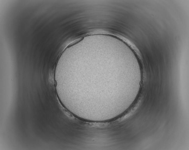 X0000110860905200907161354