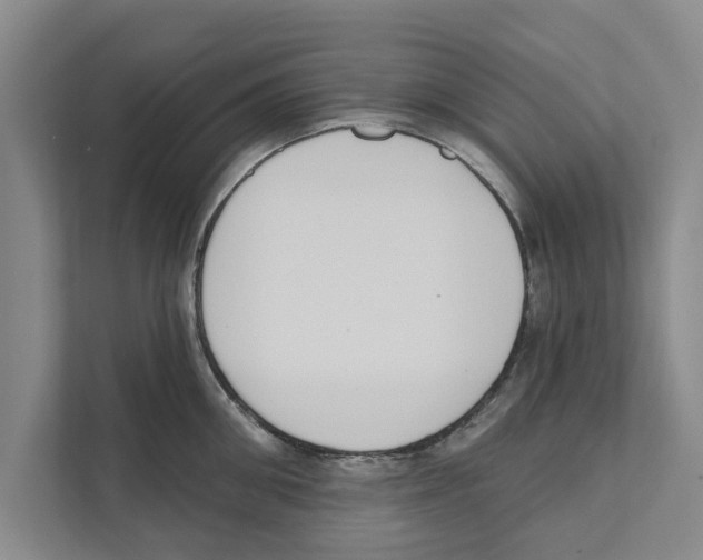 X0000110860906200907161354