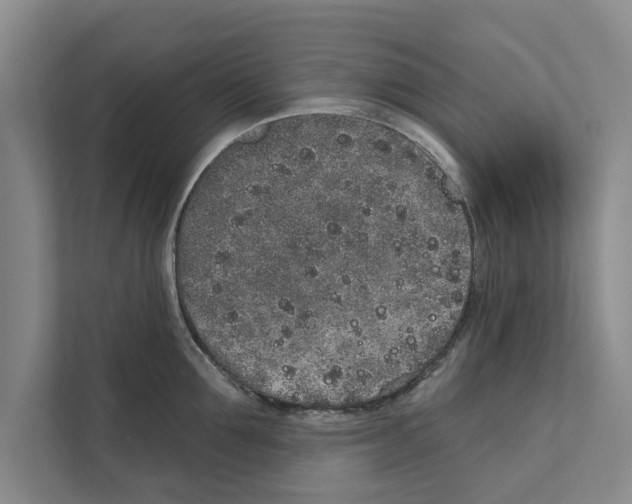 X0000110860907200907161354