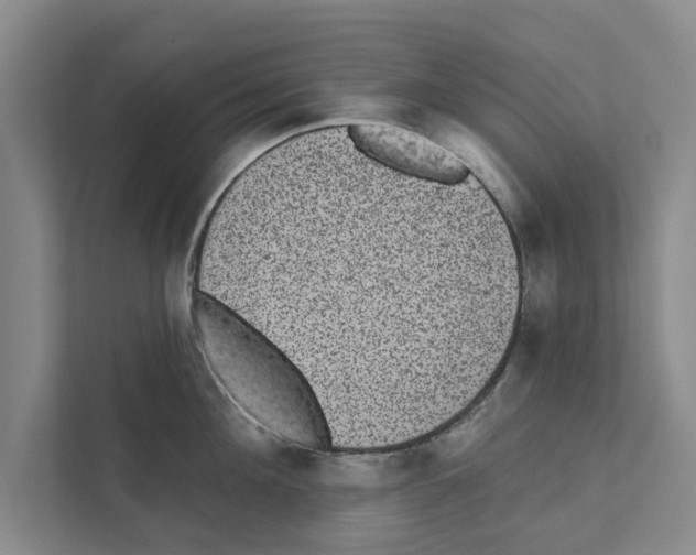 X0000110860908200907161354