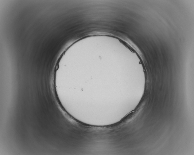 X0000110860909200907161354