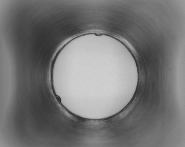 X0000110860910200907161354