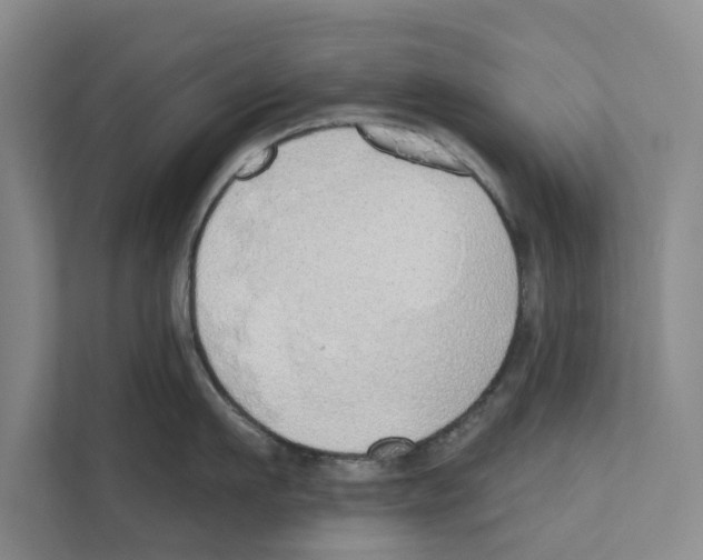 X0000110860911200907161354