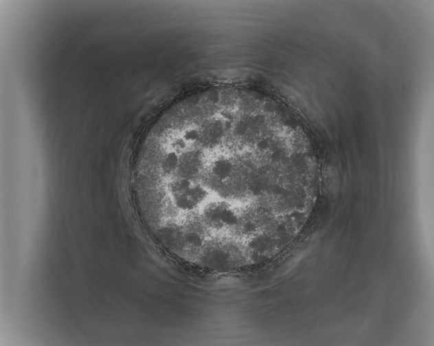 X0000110860913200907161353