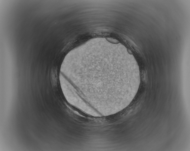 X0000110860915200907161353