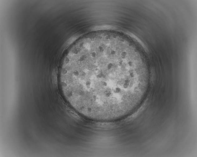 X0000110860921200907161353