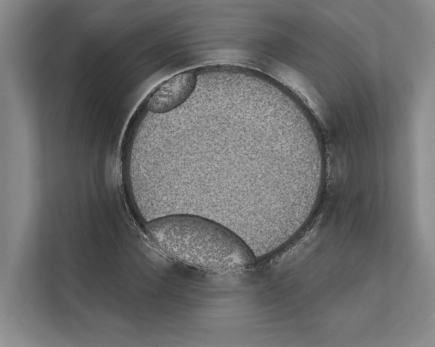 X0000110860924200907161353
