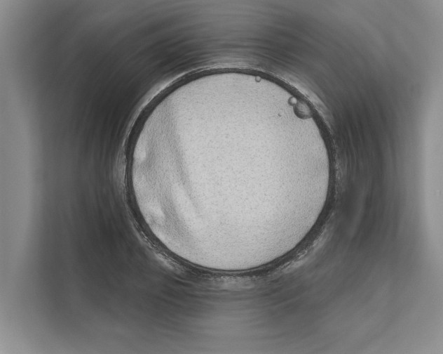 X0000110860933200907161353