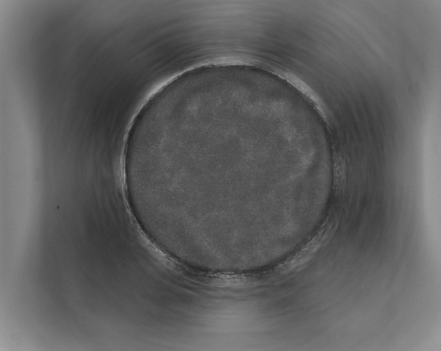 X0000110860935200907161353