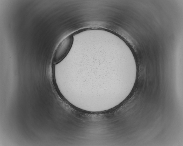 X0000110860936200907161353