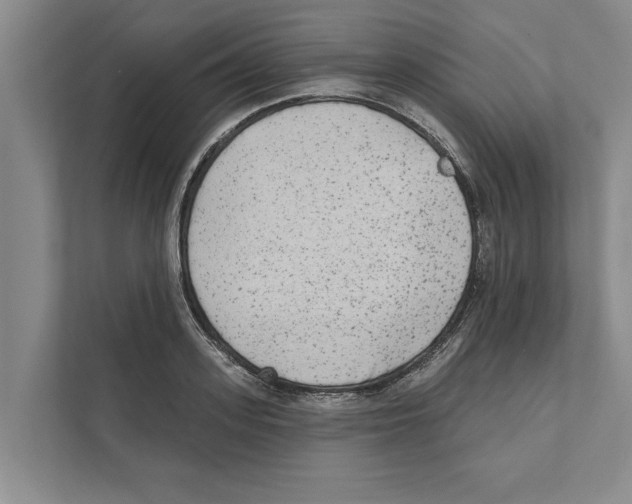 X0000110860939200907161354