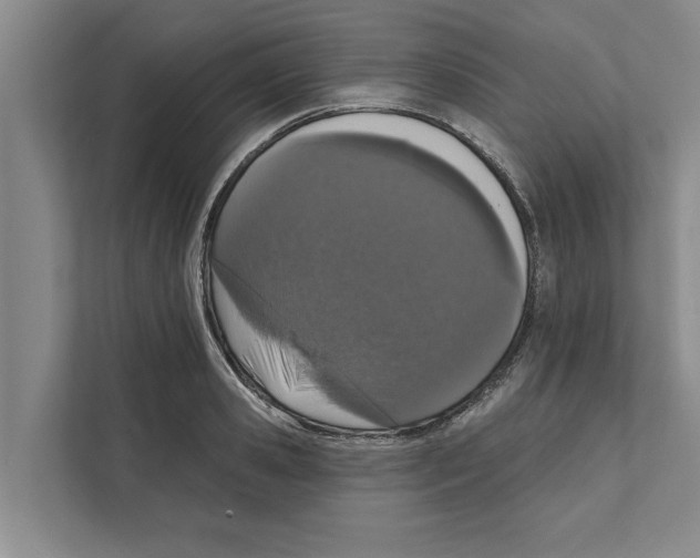 X0000110860941200907161354