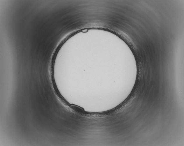X0000110860942200907161354
