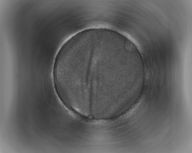 X0000110860943200907161354