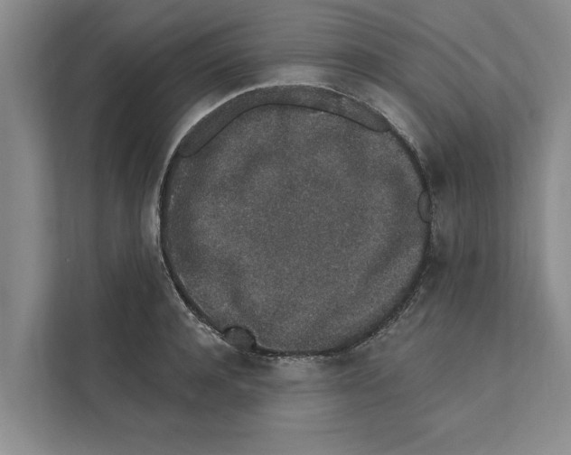X0000110860944200907161354