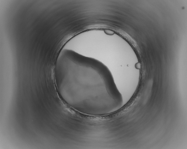 X0000110860945200907161354