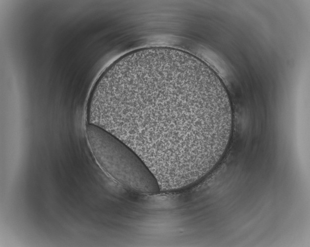 X0000110860948200907161354