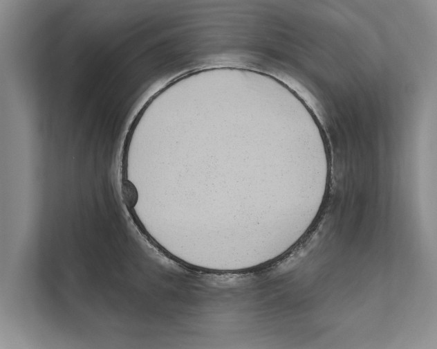 X0000110860949200907161354