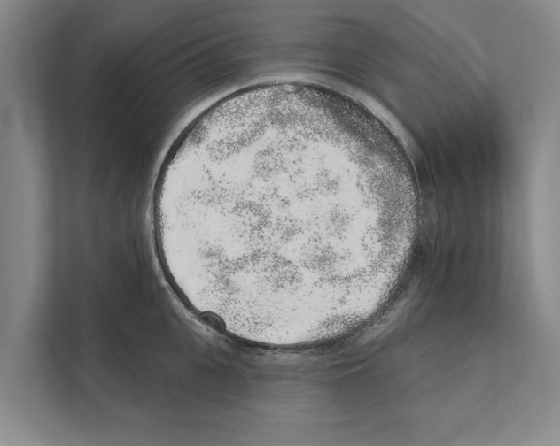 X0000110860951200907161354