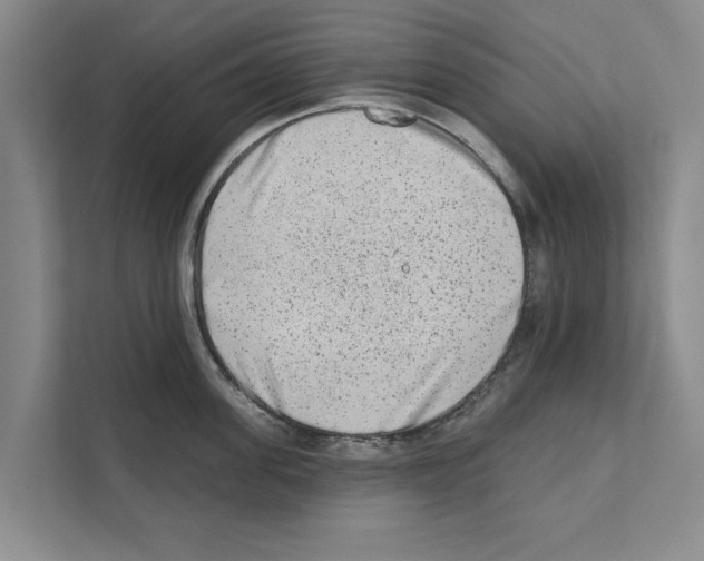 X0000110860955200907161354