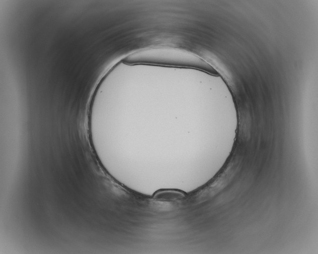 X0000110860956200907161354