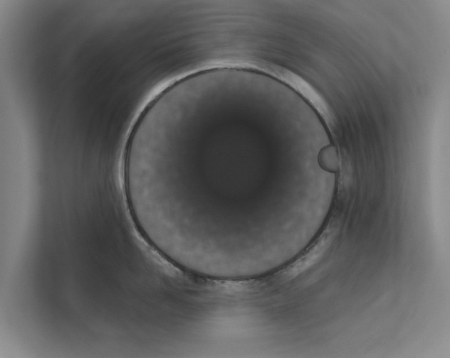 X0000110860958200907161354