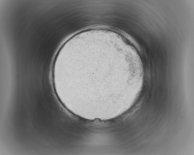 X0000110860959200907161354